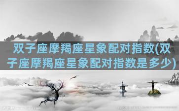 双子座摩羯座星象配对指数(双子座摩羯座星象配对指数是多少)