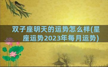 双子座明天的运势怎么样(星座运势2023年每月运势)