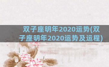 双子座明年2020运势(双子座明年2020运势及运程)