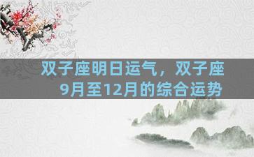 双子座明日运气，双子座9月至12月的综合运势