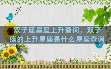 双子座星座上升查询，双子座的上升星座是什么星座查询
