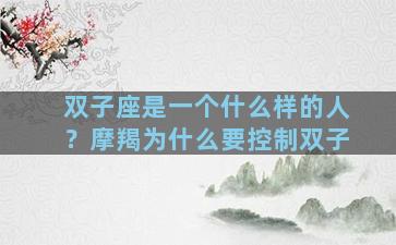 双子座是一个什么样的人？摩羯为什么要控制双子