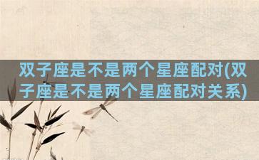 双子座是不是两个星座配对(双子座是不是两个星座配对关系)