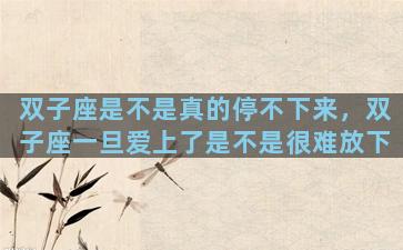 双子座是不是真的停不下来，双子座一旦爱上了是不是很难放下