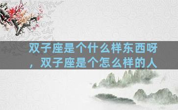 双子座是个什么样东西呀，双子座是个怎么样的人
