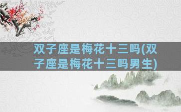 双子座是梅花十三吗(双子座是梅花十三吗男生)