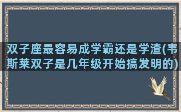 双子座最容易成学霸还是学渣(韦斯莱双子是几年级开始搞发明的)