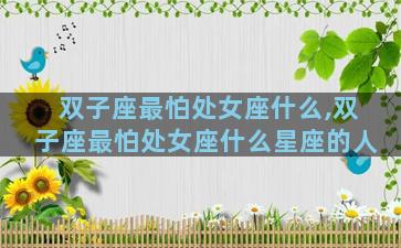 双子座最怕处女座什么,双子座最怕处女座什么星座的人
