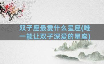 双子座最爱什么星座(唯一能让双子深爱的星座)