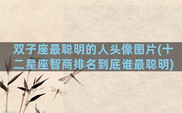 双子座最聪明的人头像图片(十二星座智商排名到底谁最聪明)