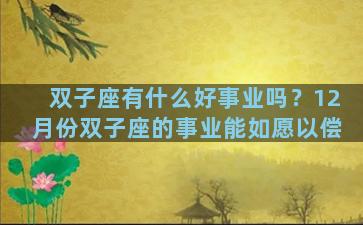 双子座有什么好事业吗？12月份双子座的事业能如愿以偿
