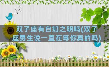 双子座有自知之明吗(双子座男生说一直在等你真的吗)