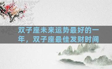 双子座未来运势最好的一年，双子座最佳发财时间