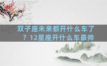 双子座未来都开什么车了？12星座开什么车最帅