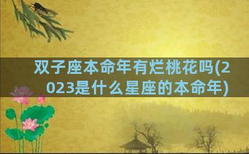 双子座本命年有烂桃花吗(2023是什么星座的本命年)
