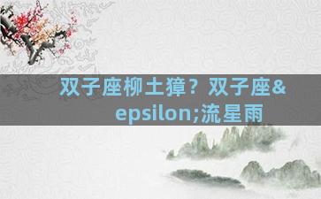 双子座柳土獐？双子座ε流星雨