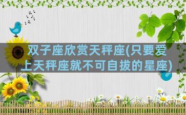 双子座欣赏天秤座(只要爱上天秤座就不可自拔的星座)