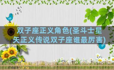 双子座正义角色(圣斗士星矢正义传说双子座谁最厉害)