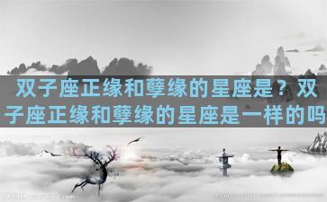 双子座正缘和孽缘的星座是？双子座正缘和孽缘的星座是一样的吗