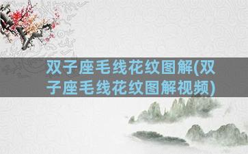 双子座毛线花纹图解(双子座毛线花纹图解视频)