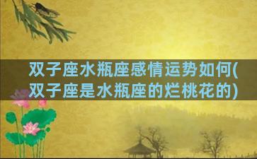 双子座水瓶座感情运势如何(双子座是水瓶座的烂桃花的)