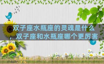 双子座水瓶座的灵魂是什么，双子座和水瓶座哪个更厉害