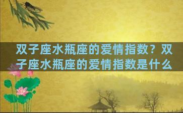 双子座水瓶座的爱情指数？双子座水瓶座的爱情指数是什么