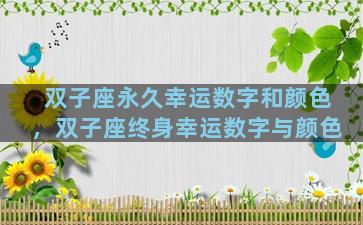 双子座永久幸运数字和颜色，双子座终身幸运数字与颜色