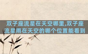 双子座流星在天空哪里,双子座流星雨在天空的哪个位置能看到
