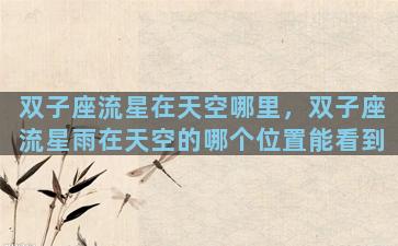 双子座流星在天空哪里，双子座流星雨在天空的哪个位置能看到