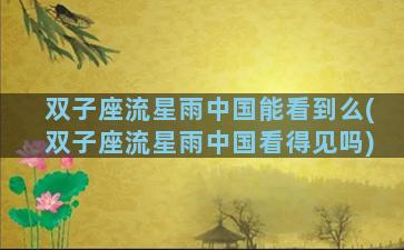 双子座流星雨中国能看到么(双子座流星雨中国看得见吗)