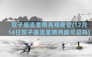 双子座流星雨亮相夜空(12月14日双子座流星雨肉眼可见吗)