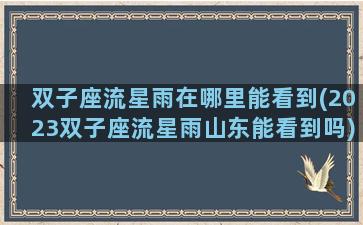 双子座流星雨在哪里能看到(2023双子座流星雨山东能看到吗)
