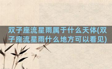 双子座流星雨属于什么天体(双子座流星雨什么地方可以看见)