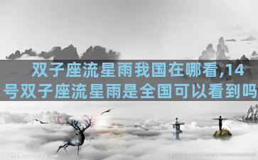 双子座流星雨我国在哪看,14号双子座流星雨是全国可以看到吗