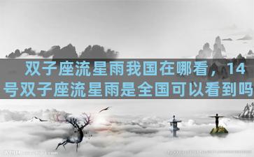 双子座流星雨我国在哪看，14号双子座流星雨是全国可以看到吗