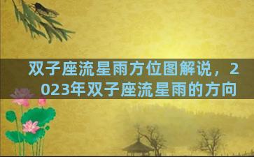 双子座流星雨方位图解说，2023年双子座流星雨的方向