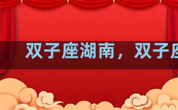 双子座湖南，双子座ll