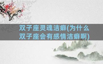 双子座灵魂洁癖(为什么双子座会有感情洁癖啊)