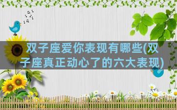 双子座爱你表现有哪些(双子座真正动心了的六大表现)