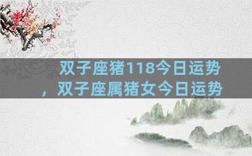 双子座猪118今日运势，双子座属猪女今日运势