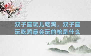 双子座玩儿吃鸡，双子座玩吃鸡最会玩的枪是什么