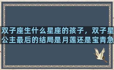 双子座生什么星座的孩子，双子星公主最后的结局是月莲还是宝青急求
