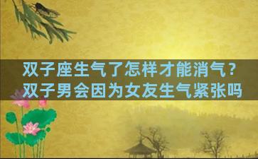 双子座生气了怎样才能消气？双子男会因为女友生气紧张吗