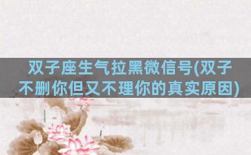 双子座生气拉黑微信号(双子不删你但又不理你的真实原因)