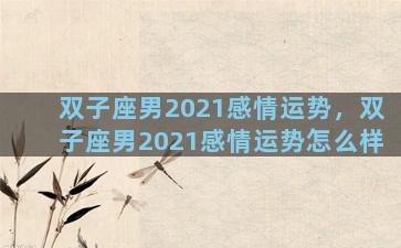 双子座男2021感情运势，双子座男2021感情运势怎么样