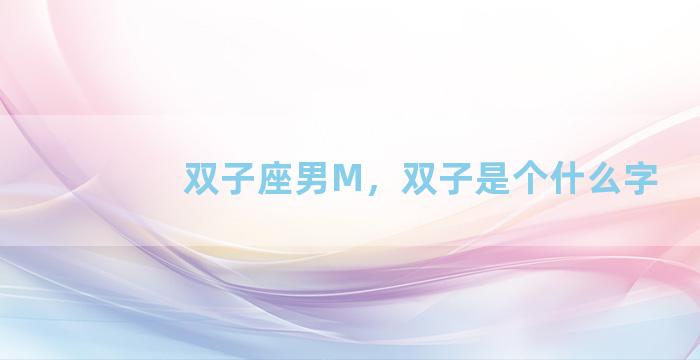 双子座男M，双子是个什么字