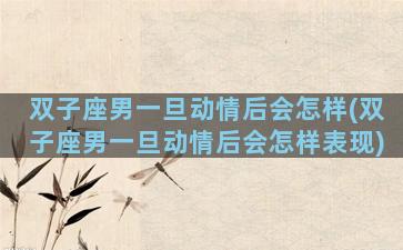 双子座男一旦动情后会怎样(双子座男一旦动情后会怎样表现)