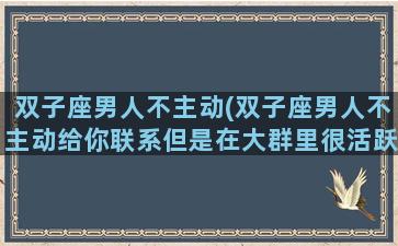双子座男人不主动(双子座男人不主动给你联系但是在大群里很活跃)