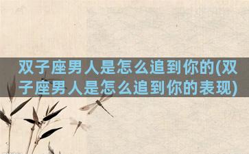 双子座男人是怎么追到你的(双子座男人是怎么追到你的表现)